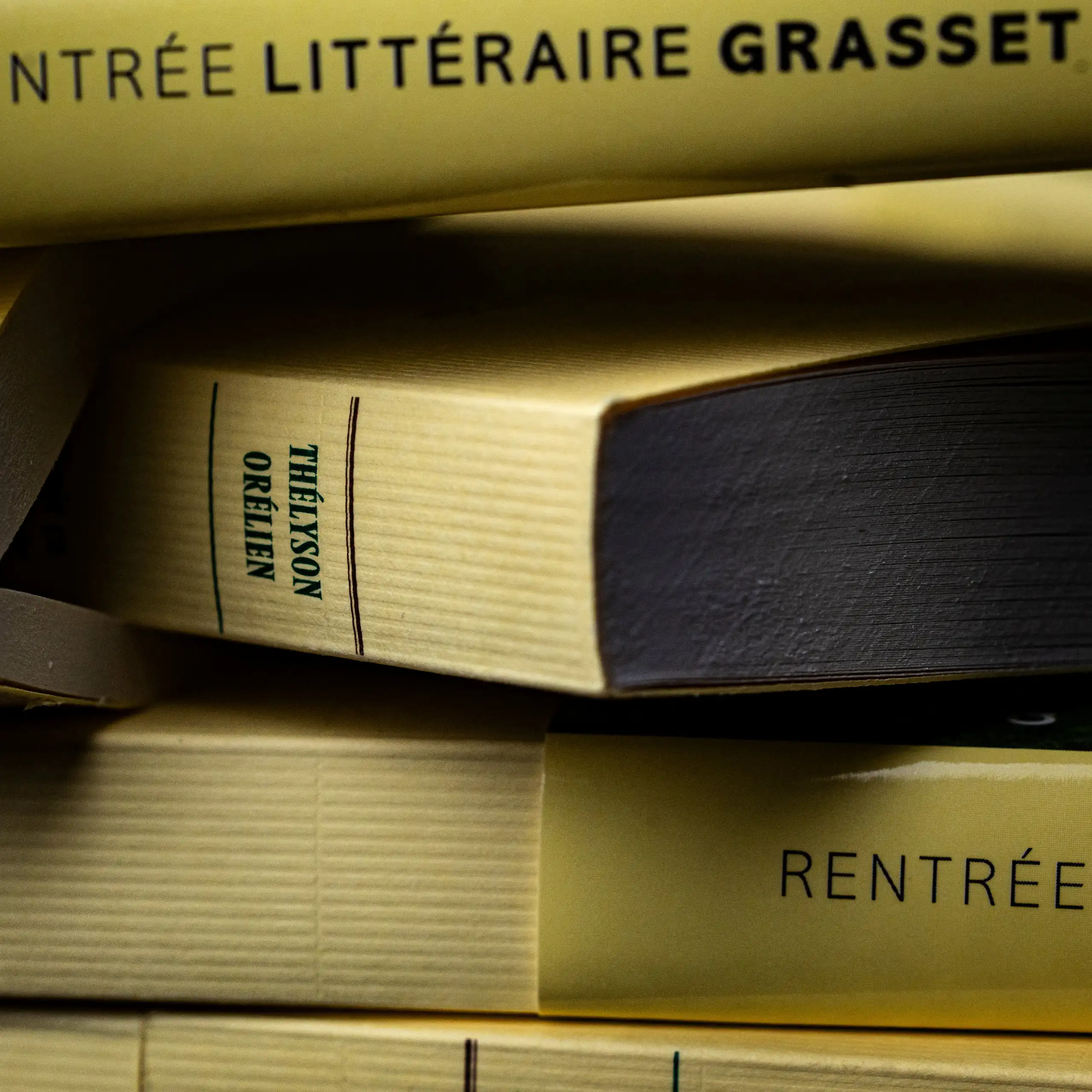 Plusieurs exemplaires du livre les uns sur les autres.