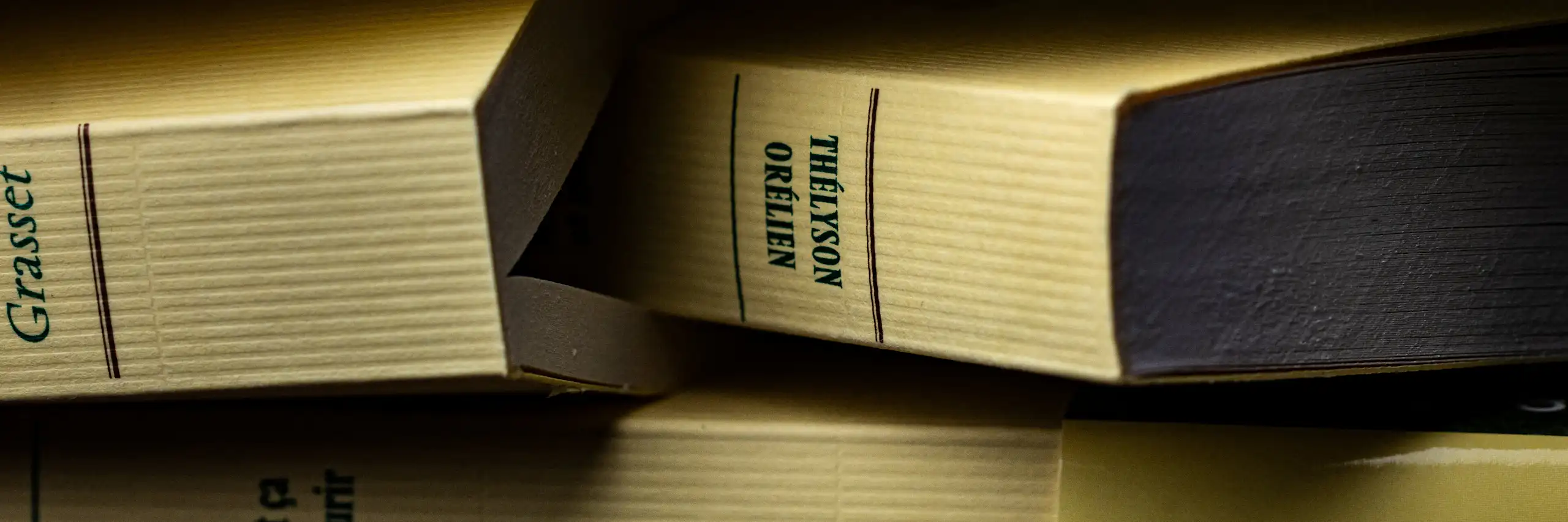 Plusieurs exemplaires du livre les uns sur les autres.