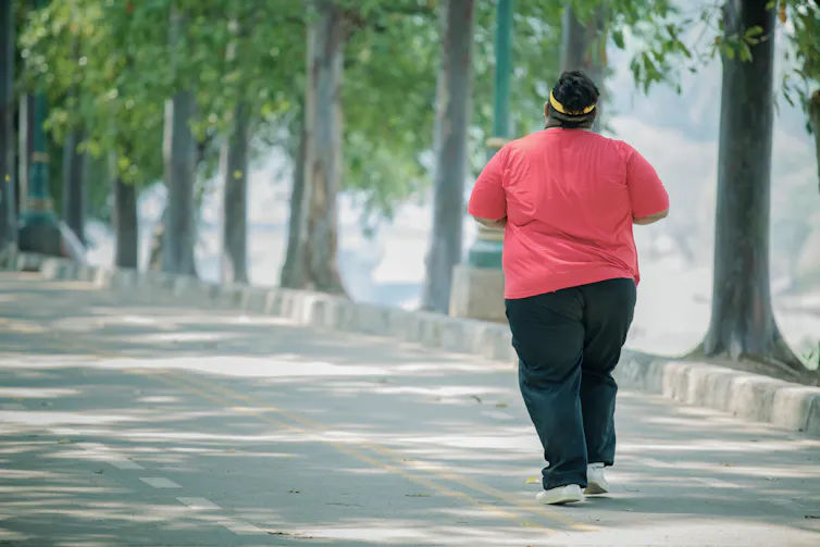 Photo d’une personne en situation d’obésité prise de dos, en train de marcher dans un parc arboré.