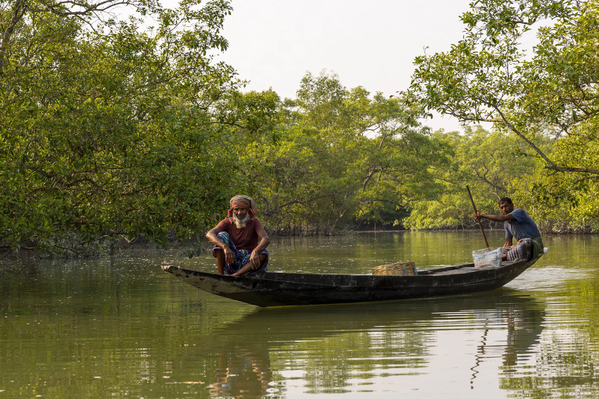 Image source - https://theconversation.com/mangrove-restoration-is-becoming-big-business-but-benefits-dont-always-reach-local-people-292874