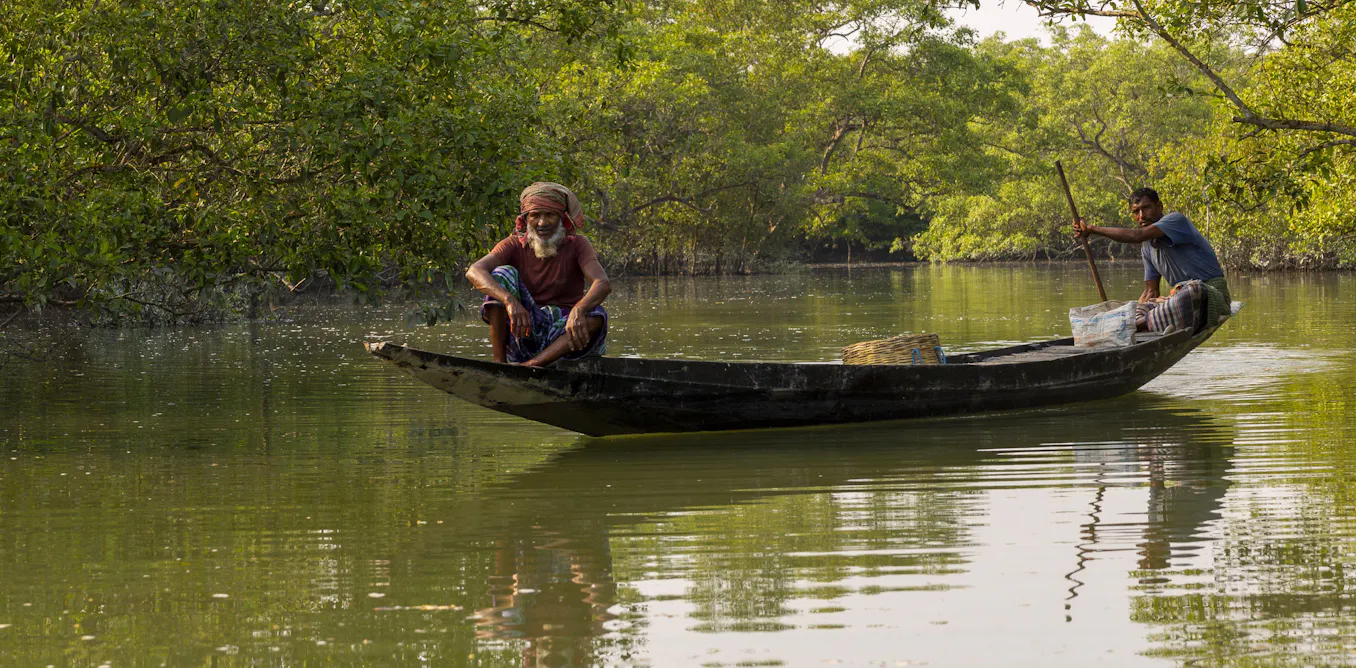 Mangrove restoration is becoming big business, but benefits don’t always reach local people Mangrove restoration is becoming big business, but benefits don’t always reach local people