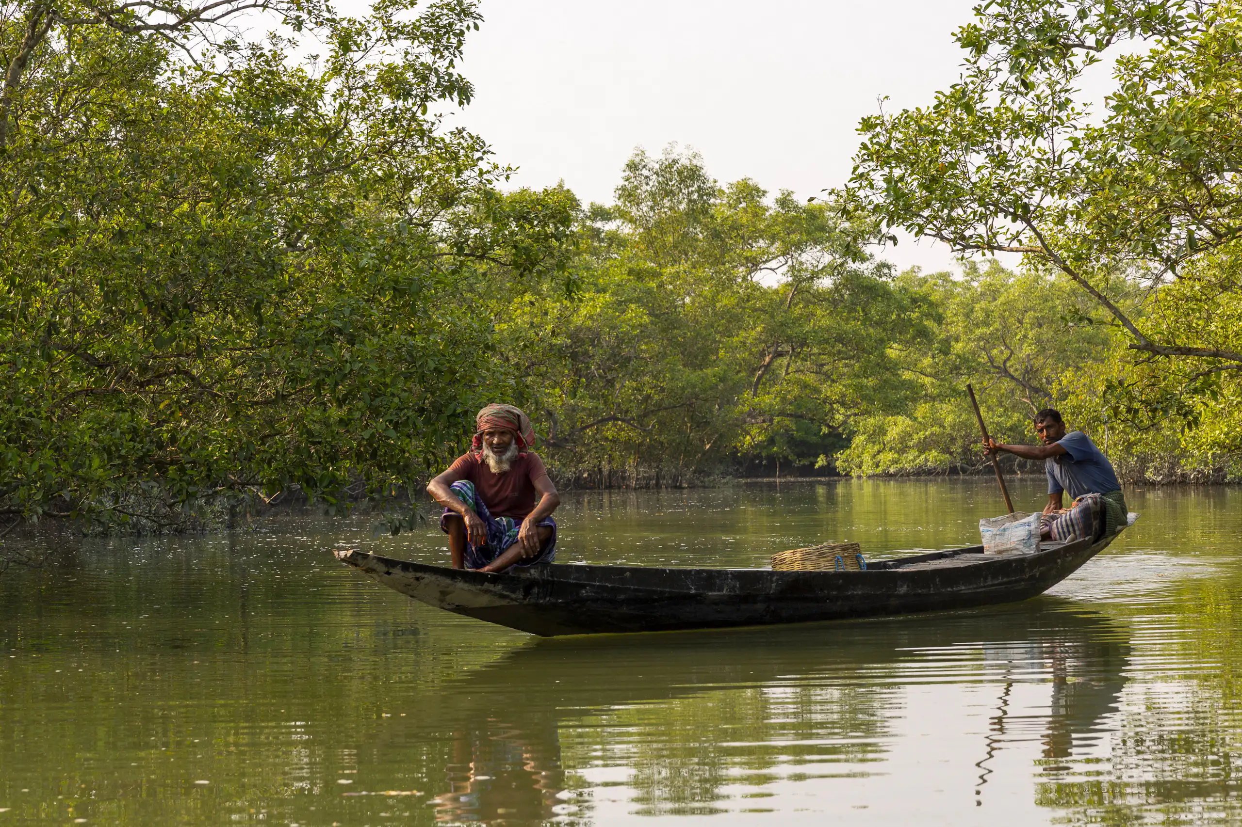 two men on small boat in mangrove forest