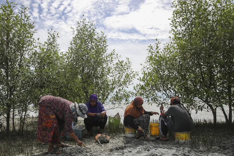 women in mangrove beach