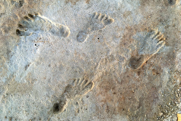 Footprints found at White Sands, New Mexico, were dated to the height of the last ice age.