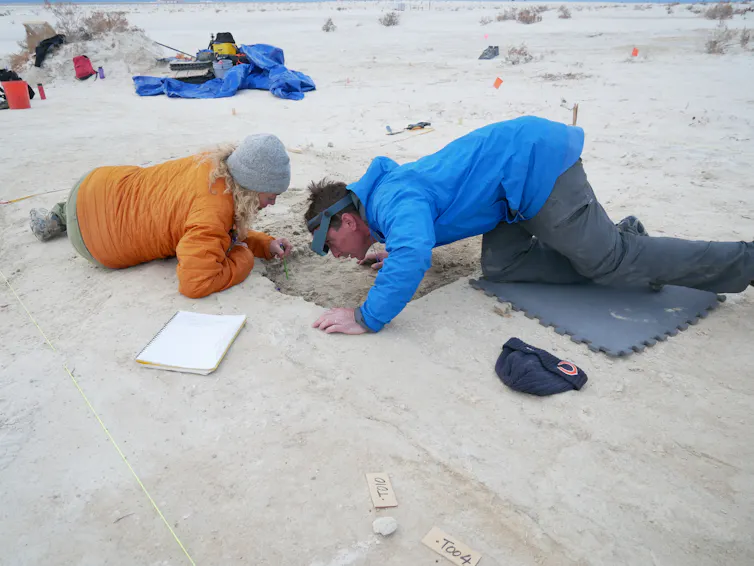 Archaeologists recording the placement of seeds found at the site.