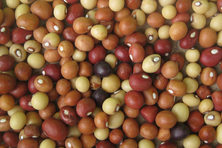 A close up of dozens of brown and cream balls that look like peas