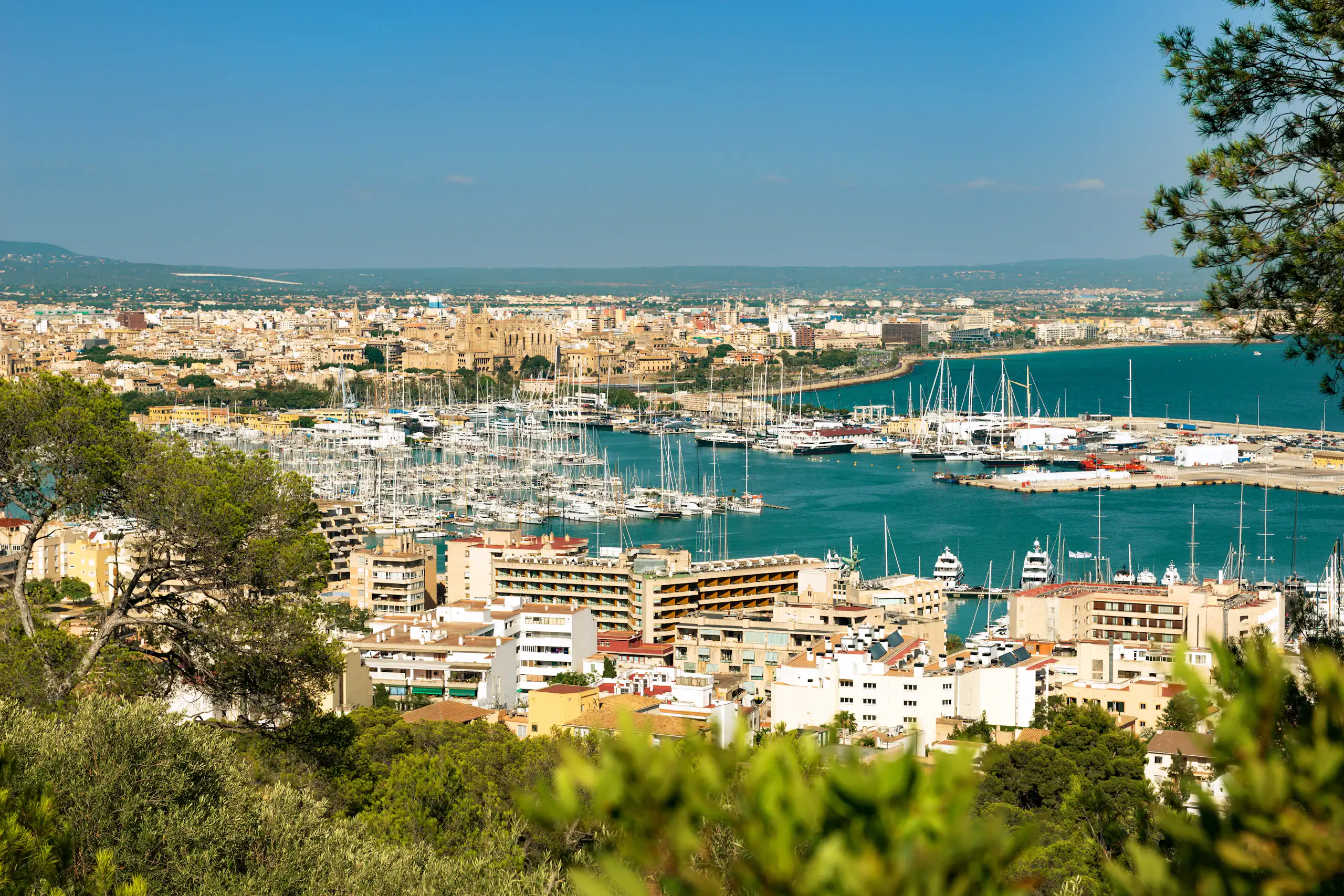 Molts edificis i vaixells junt al mar.
