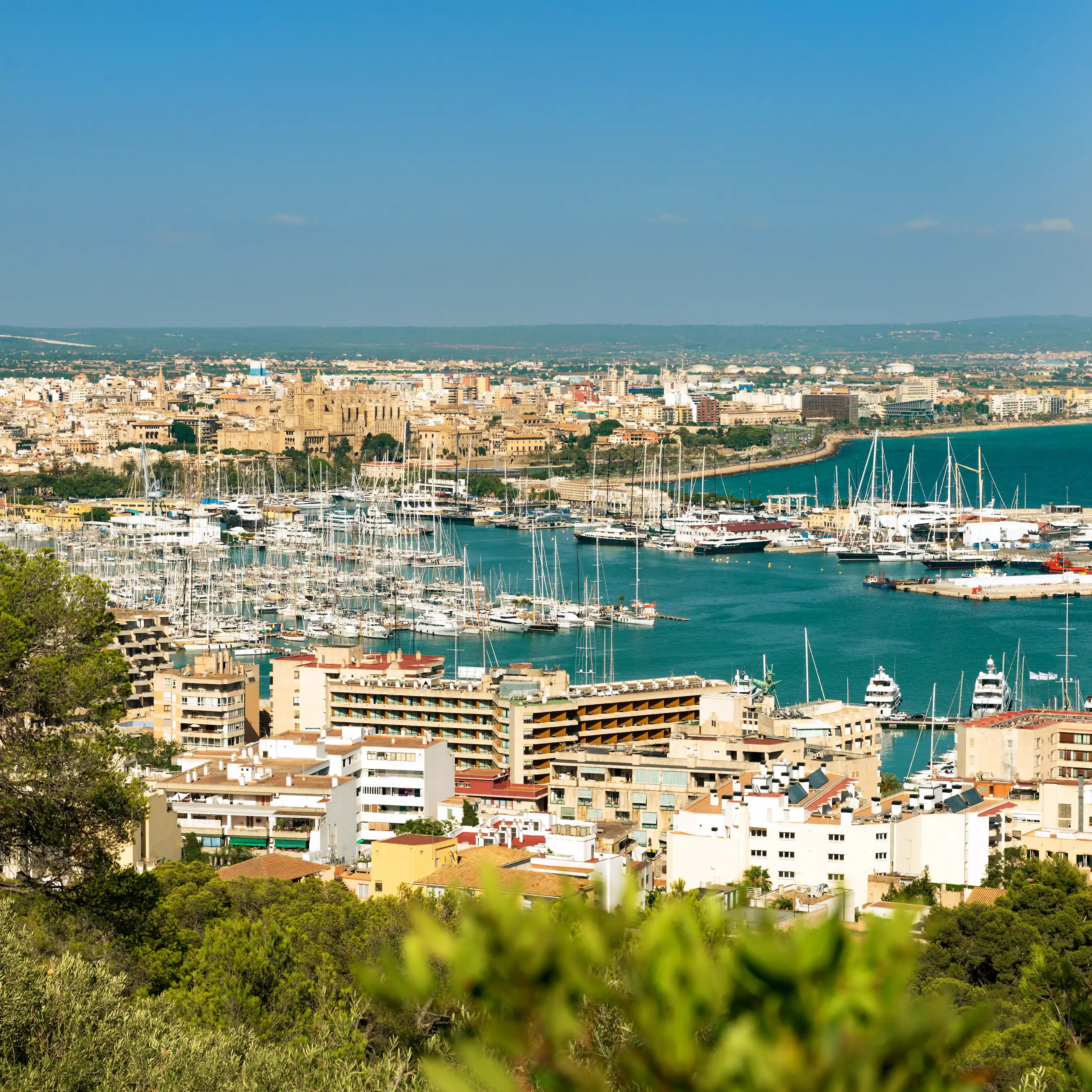 Molts edificis i vaixells junt al mar.