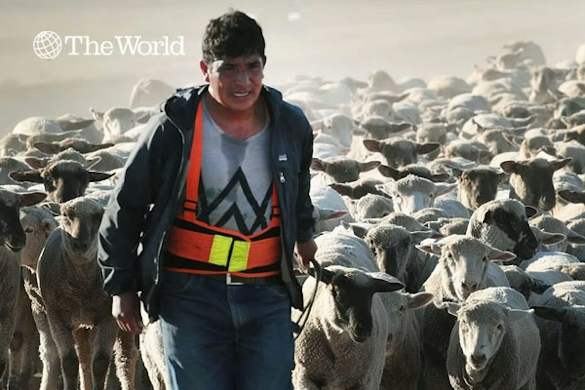 A young man on a dusty road with many sheep behind him.