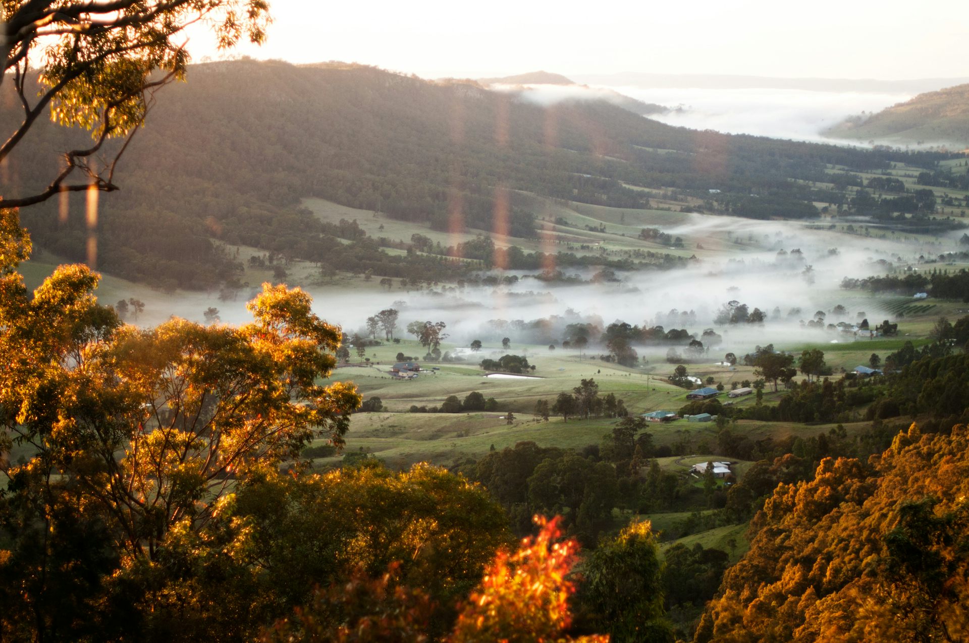 A scenic view of a valley filled with mist.