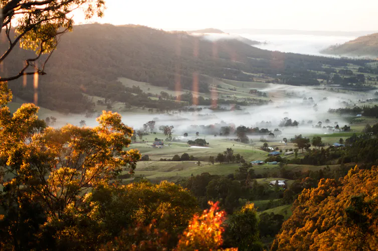 A scenic view of a valley filled with mist.