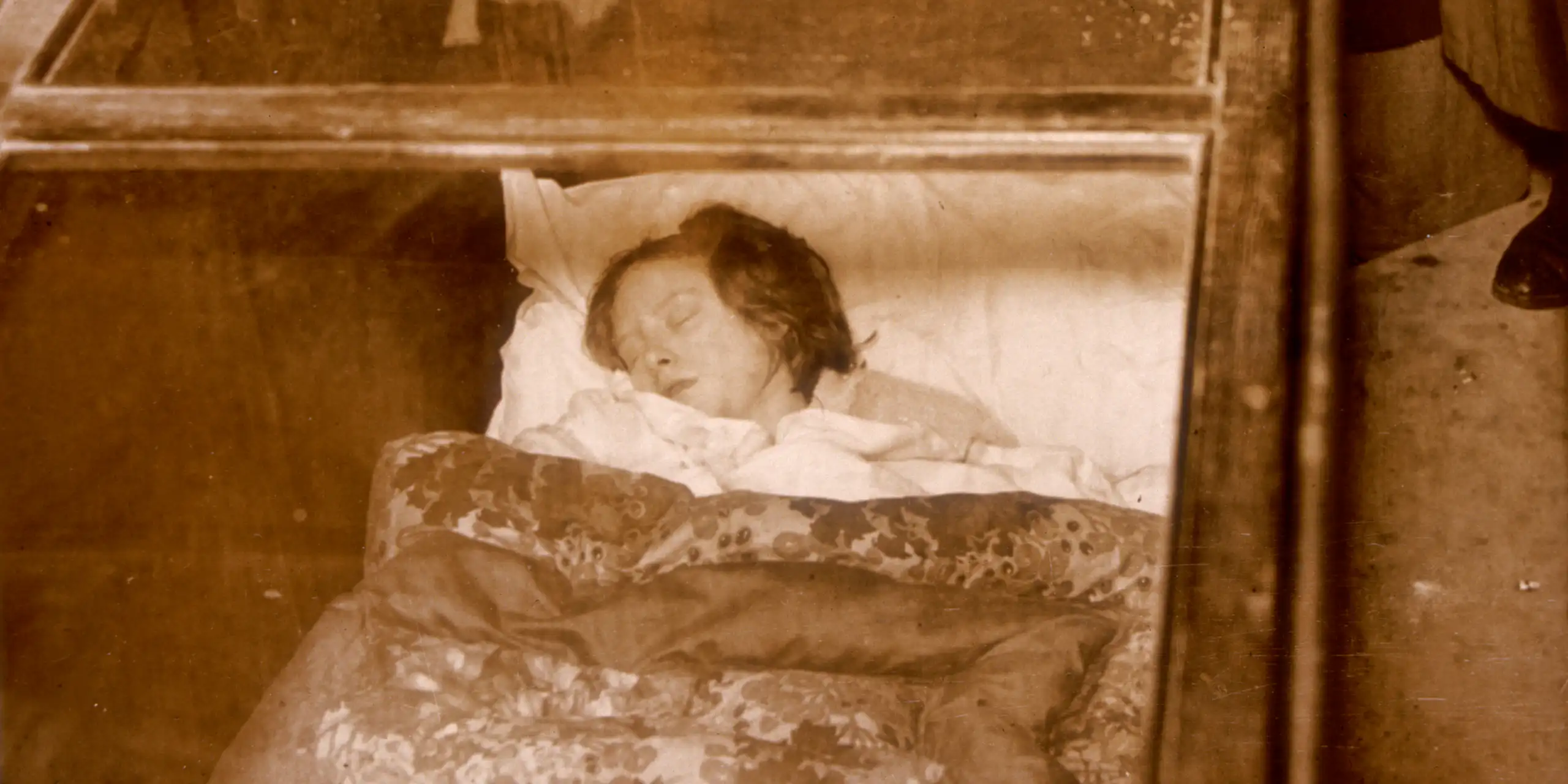 A woman sleeps in a glass box while people watch greedily.
