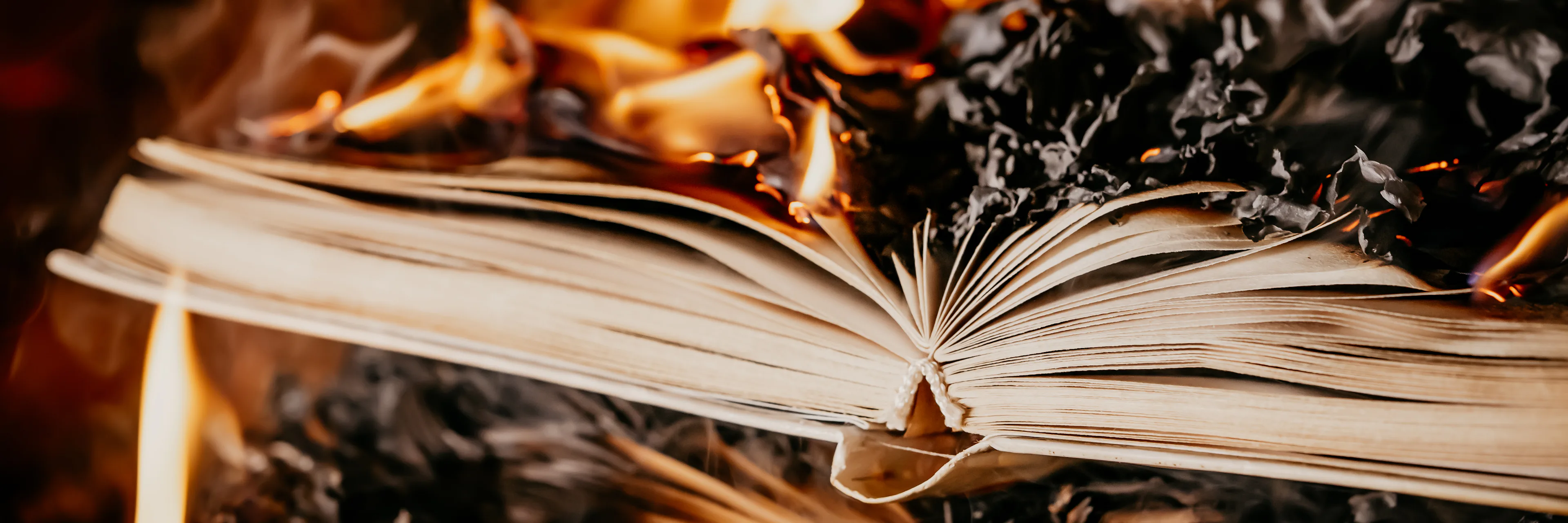 Black authors targeted