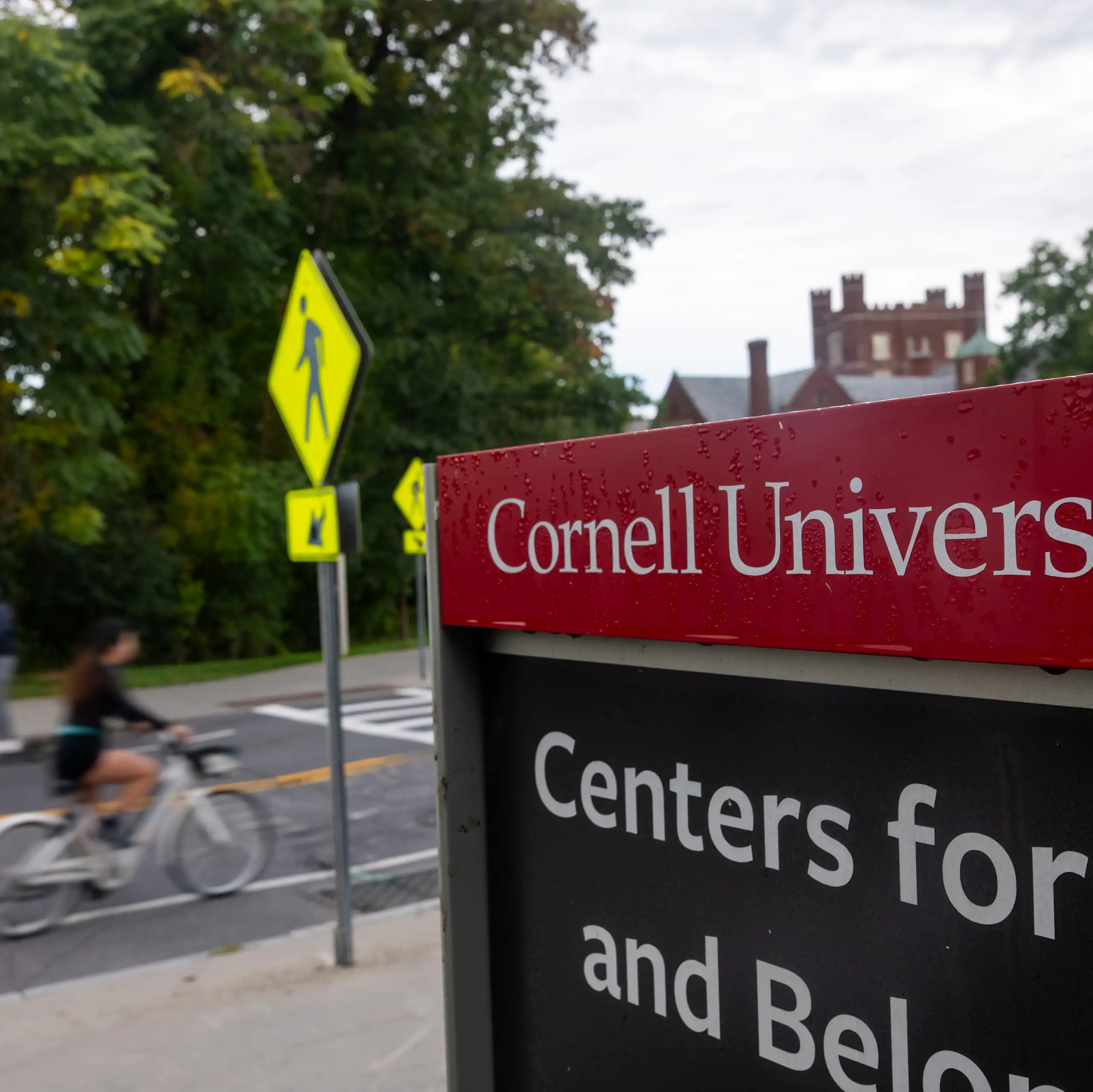 A person rides a bike down a quiet street in front of a red sign that says in white lettering 'Cornell University.'