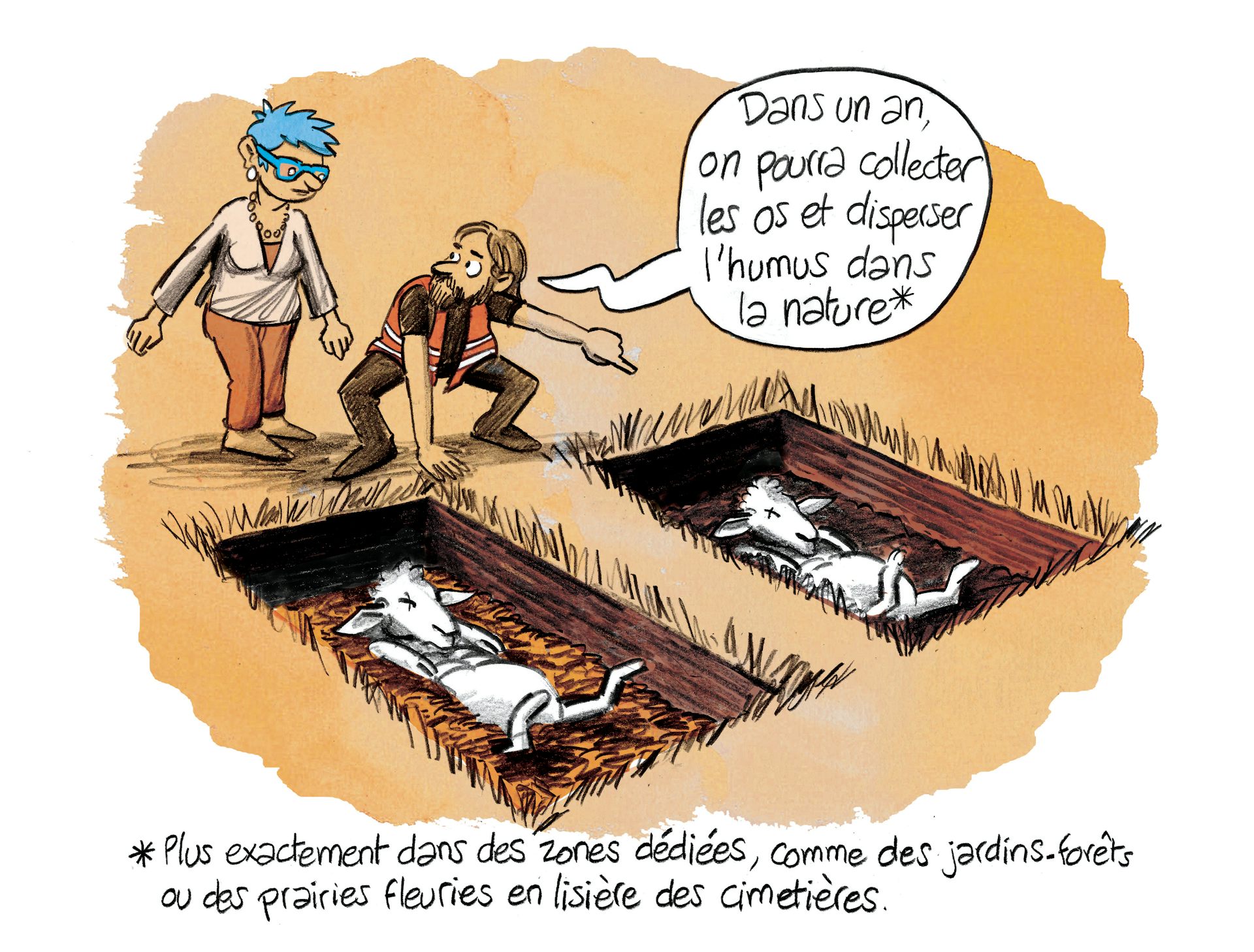Planche 42 : à décrire