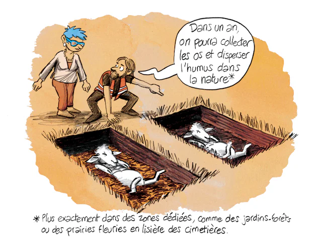 Planche 42 : à décrire
