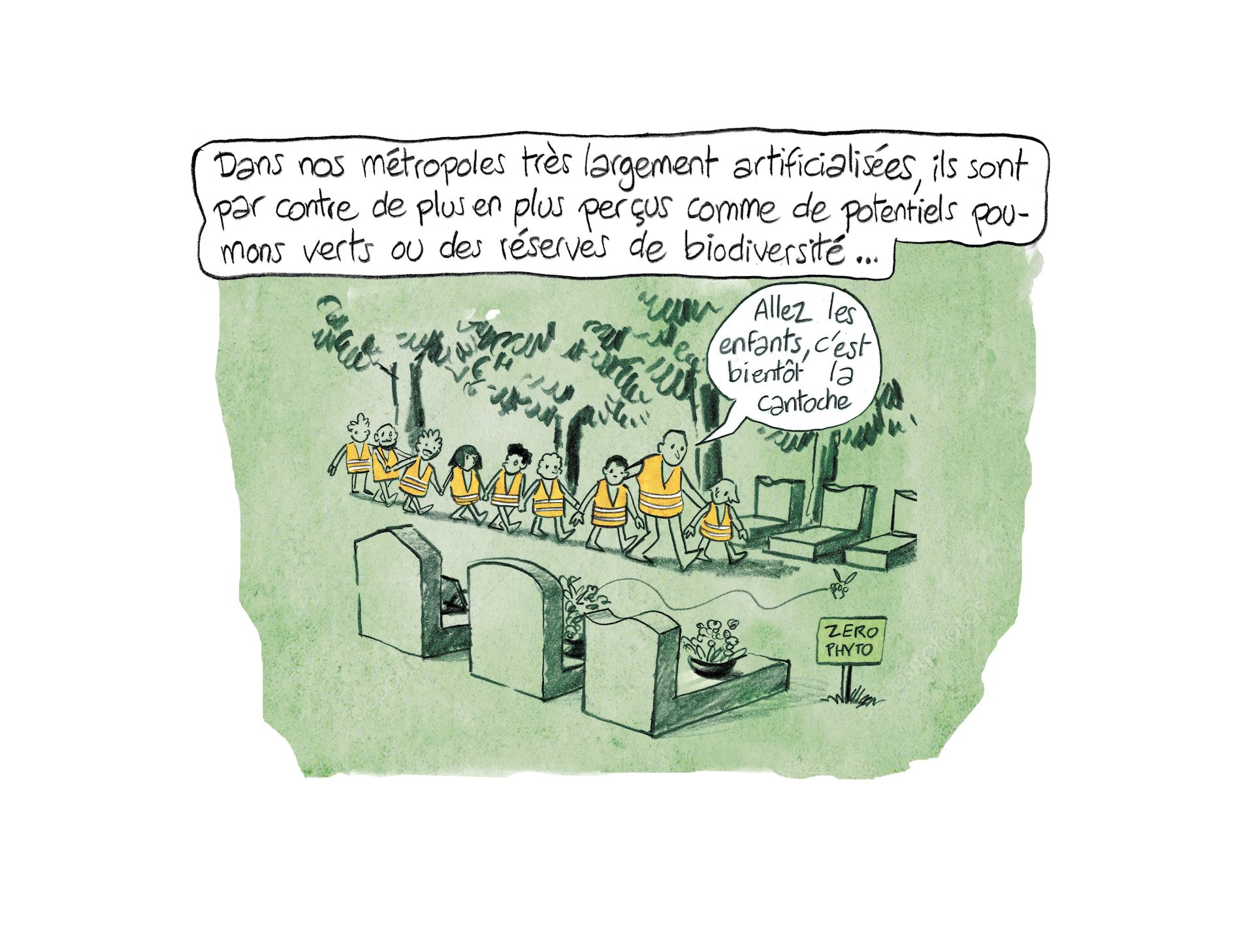 Planche 53 : à décrire