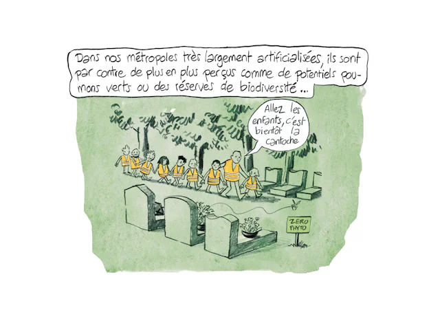Planche 53 : à décrire