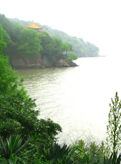 the shore of a lake surrounded by greenery
