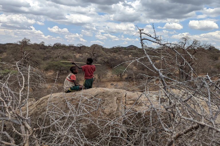 Two Hadza children play atop a rocky outcrop, with bushland and clouds in the background
