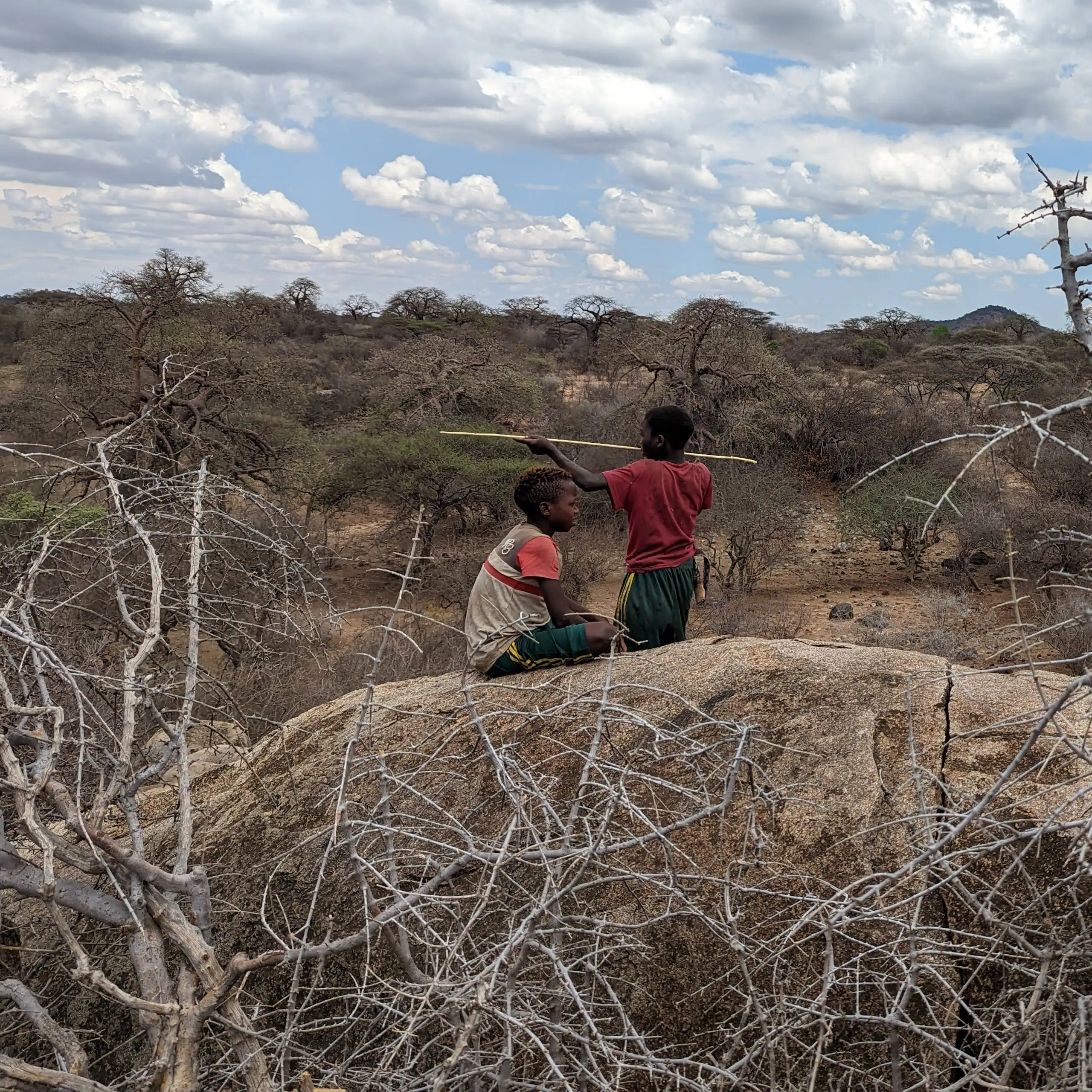 Two Hadza children play atop a rocky outcrop, with bushland and clouds in the background