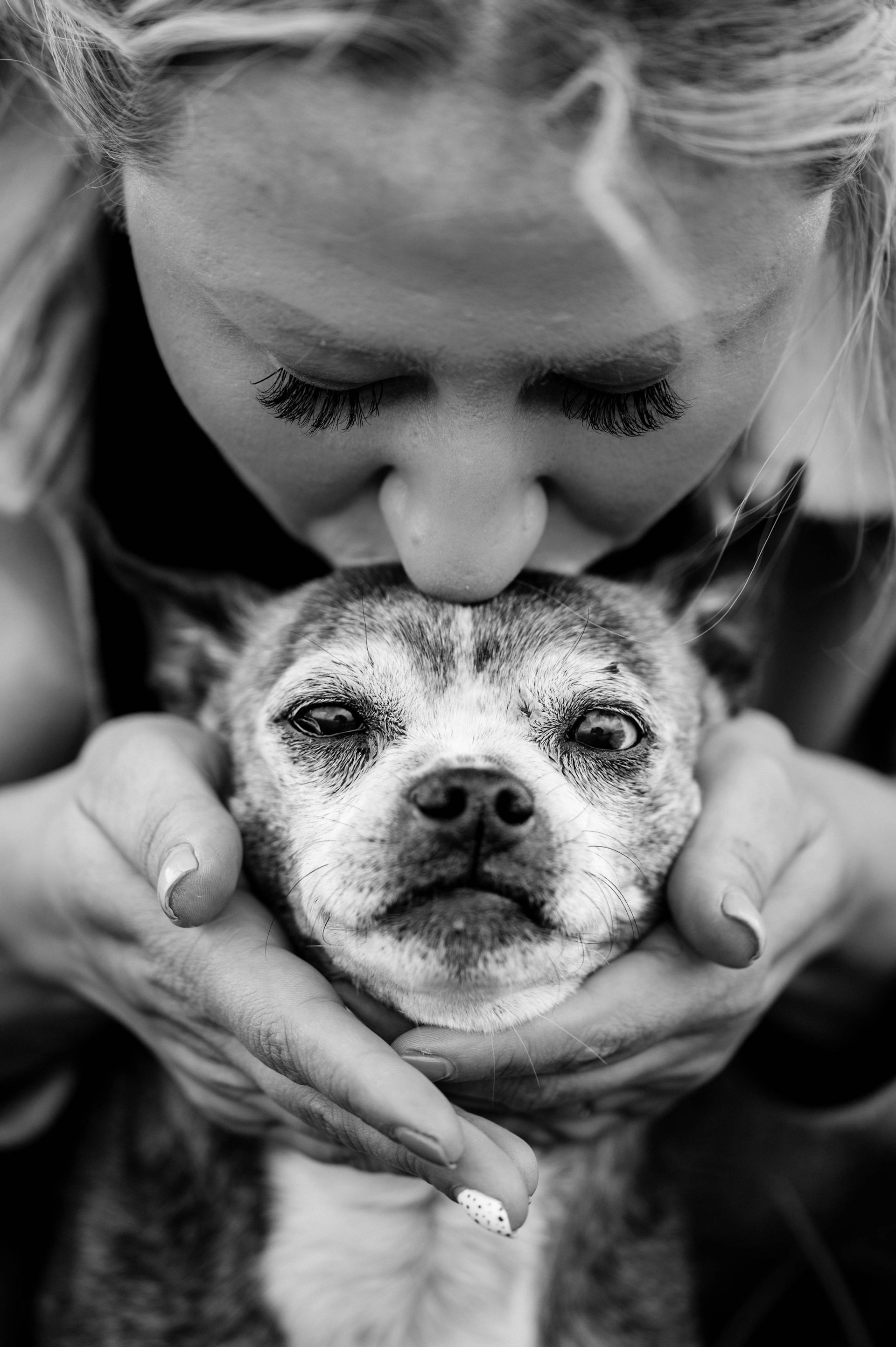 Why old dogs might be able to teach Alzheimer’s researchers new tricks