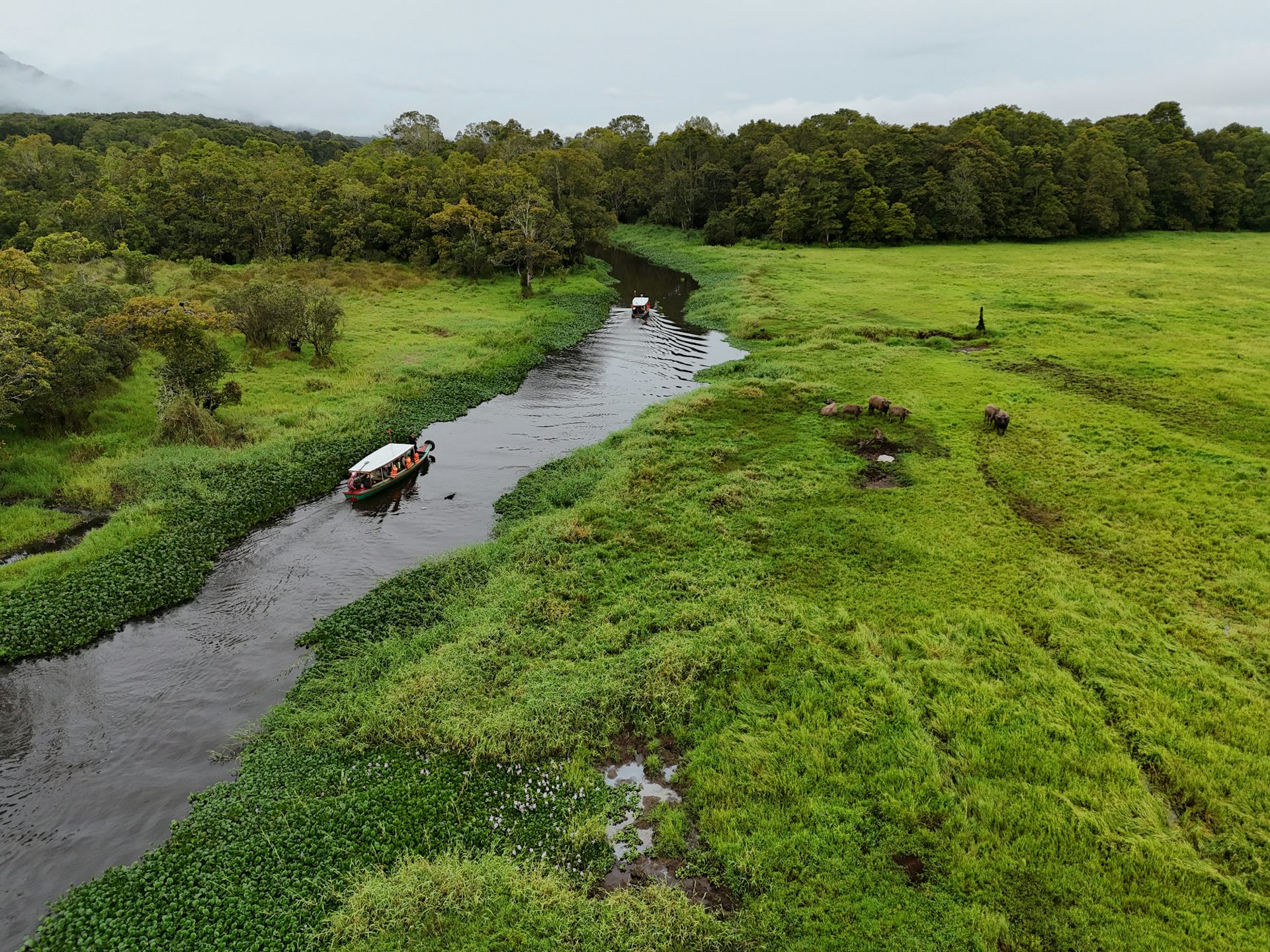 A river winds its way through lush, green grasslands.