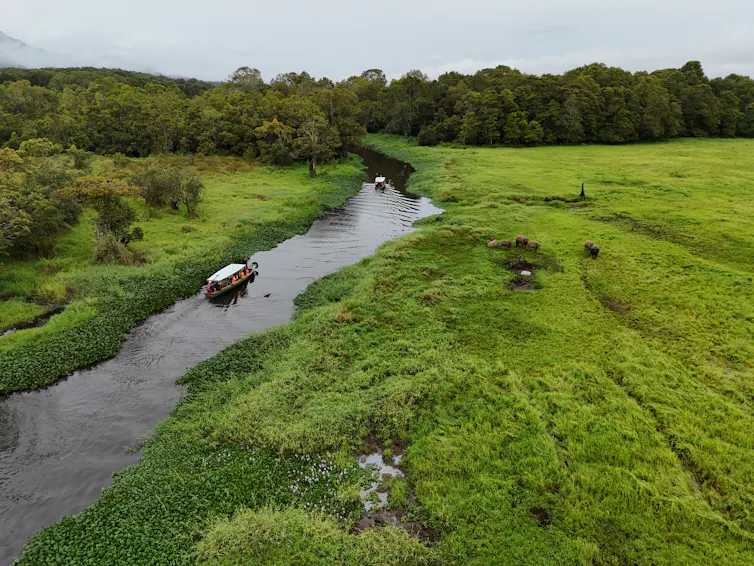 A river winds its way through lush, green grasslands.