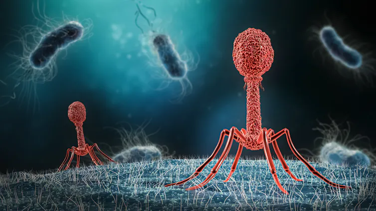 Bacteriophages - 3D render