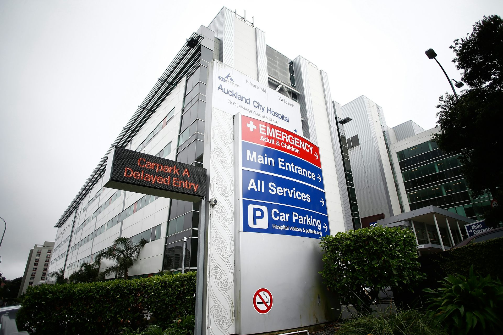 NZ’s health system suffers from chronic ailments only cross-party consensus can treat