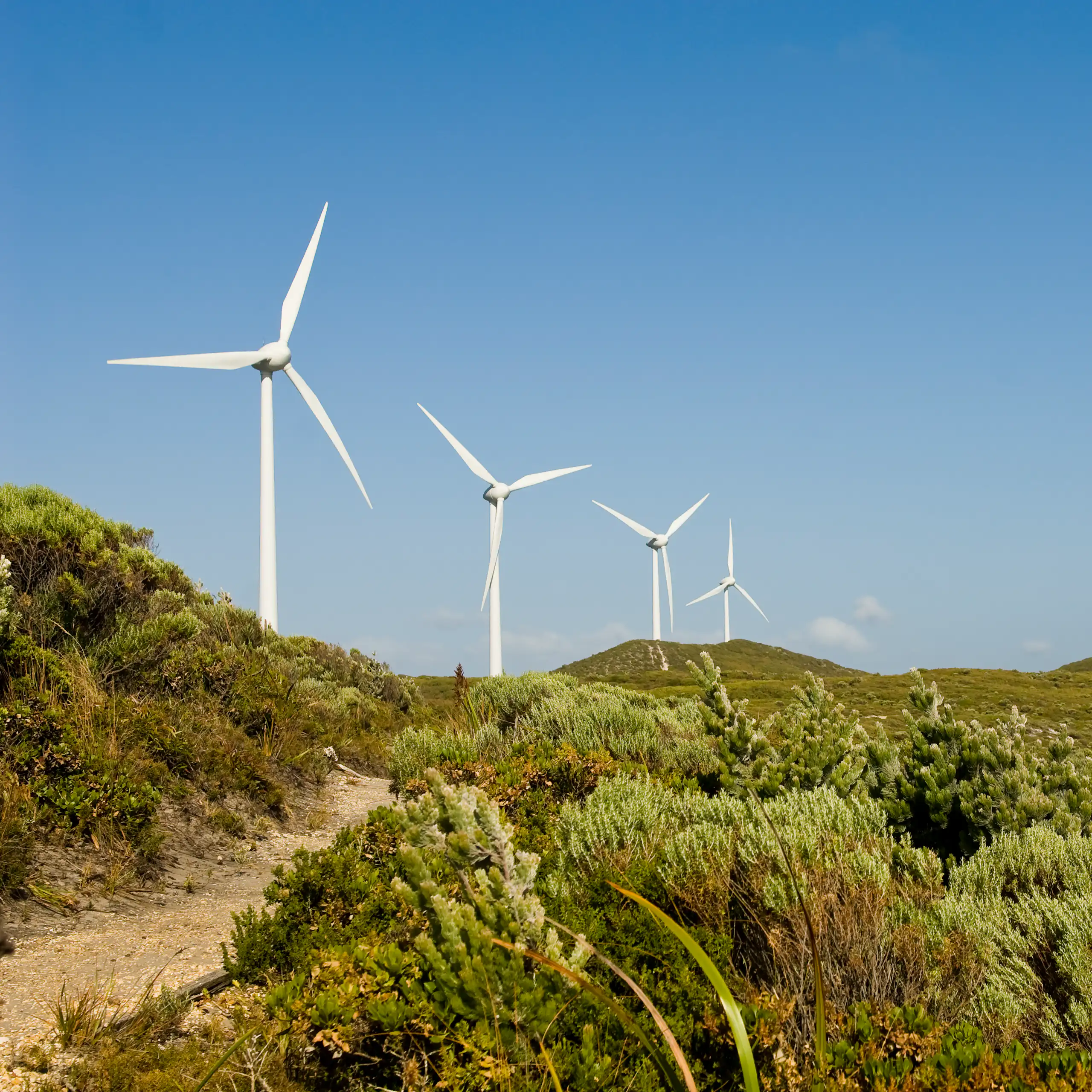 wind farm on a hillside covered in shrubs and bush.