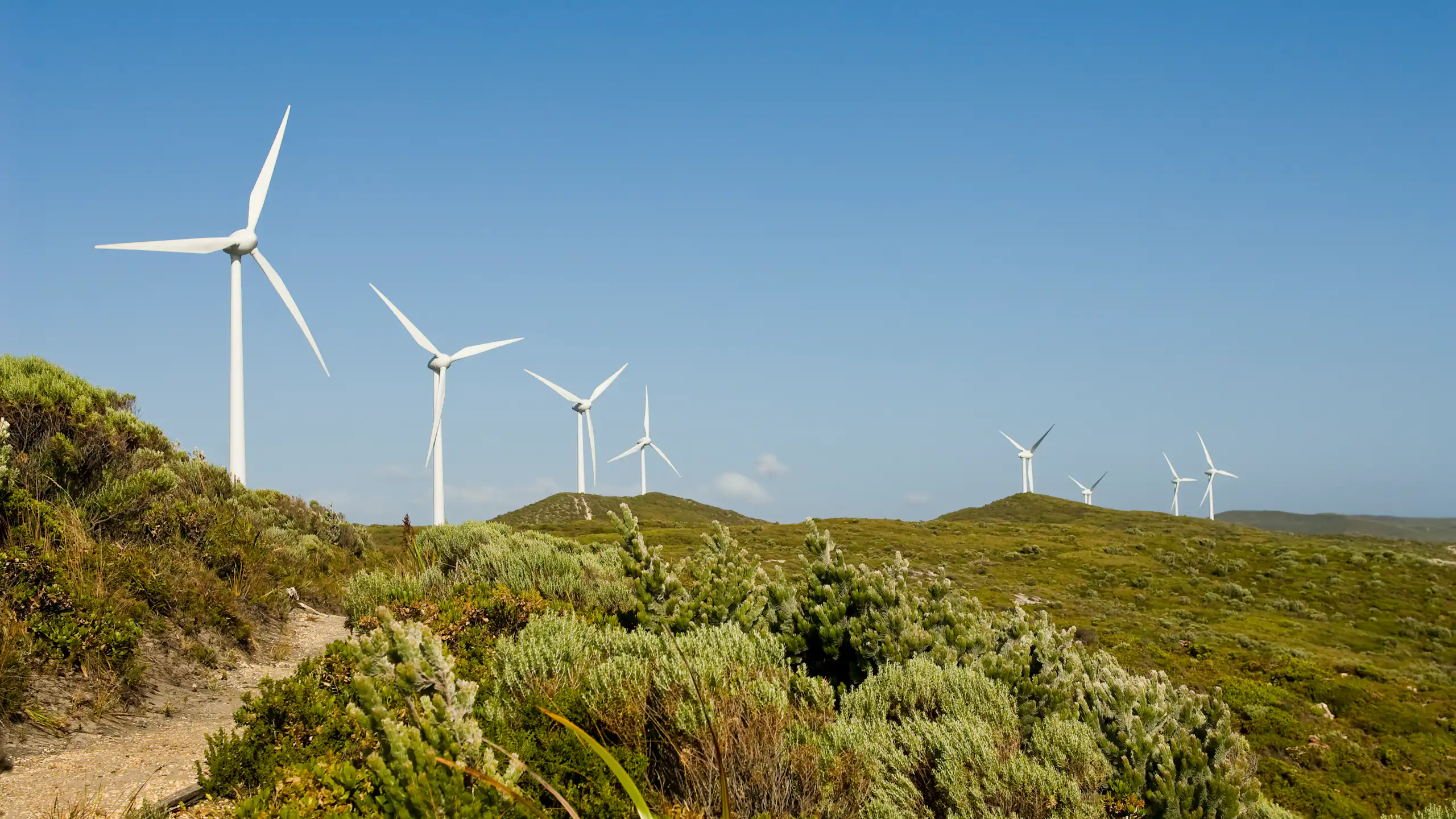 wind farm on a hillside covered in shrubs and bush.