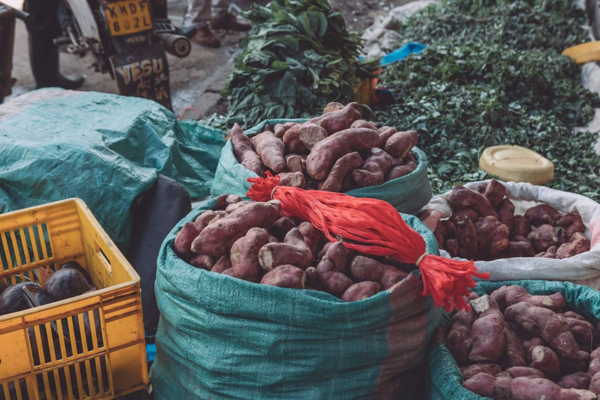 One-Third of Food Lost or Wasted, 324 Studies Show Fixes
