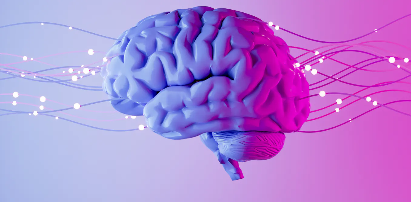 L’optogénétique récompensée par le Nobel : un siècle d’innovations pour cartographier et contrôler le cerveau