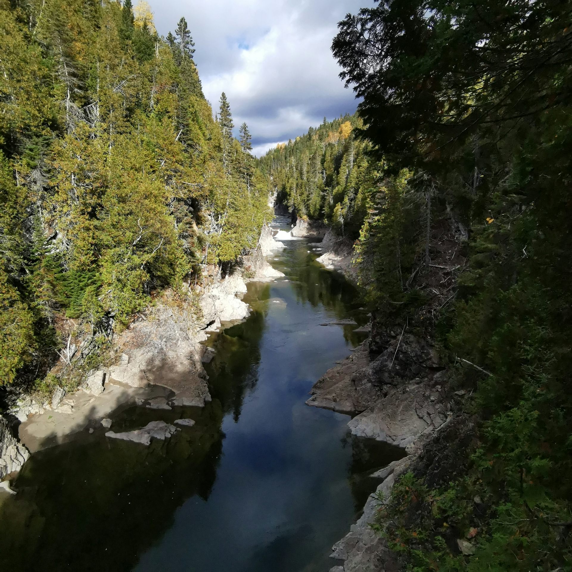 Can planting trees on riverbanks save salmon rivers from global warming?