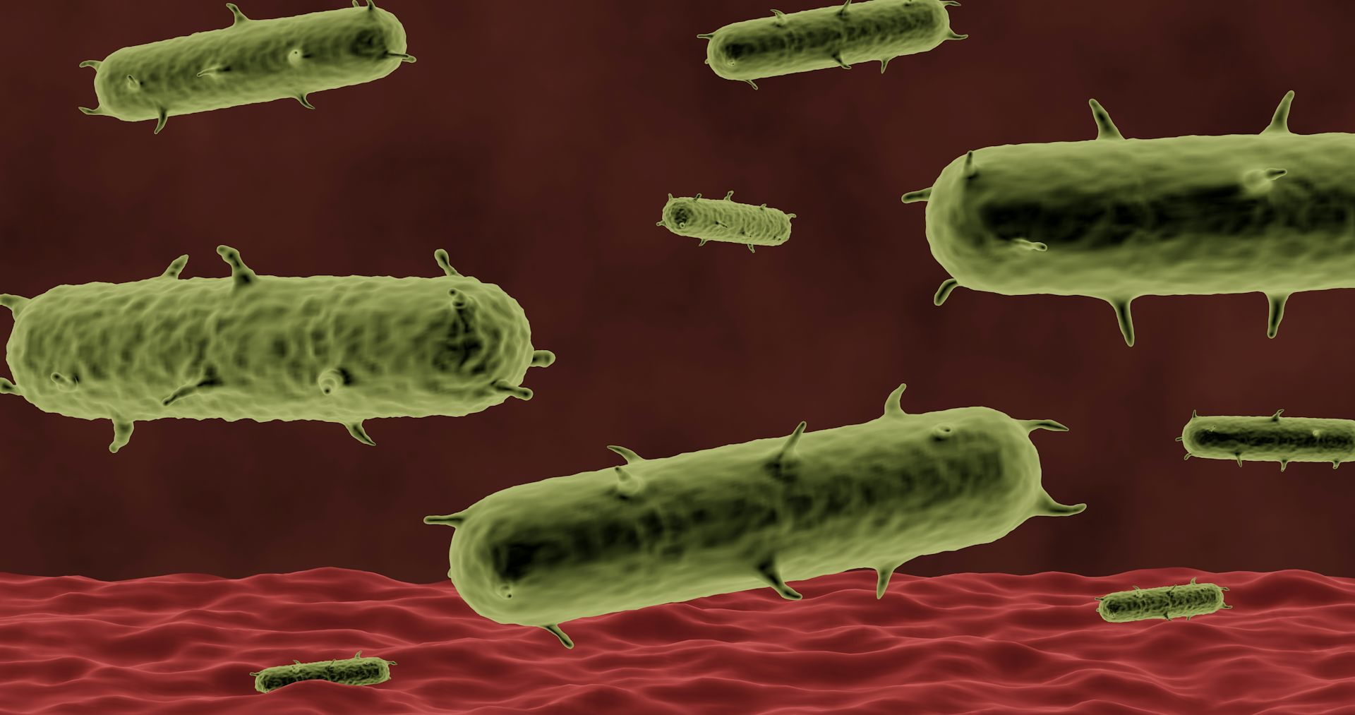 A digital depiction of the plague-causing bacterium, Yersinia pestis, as it would appear under a microscope.