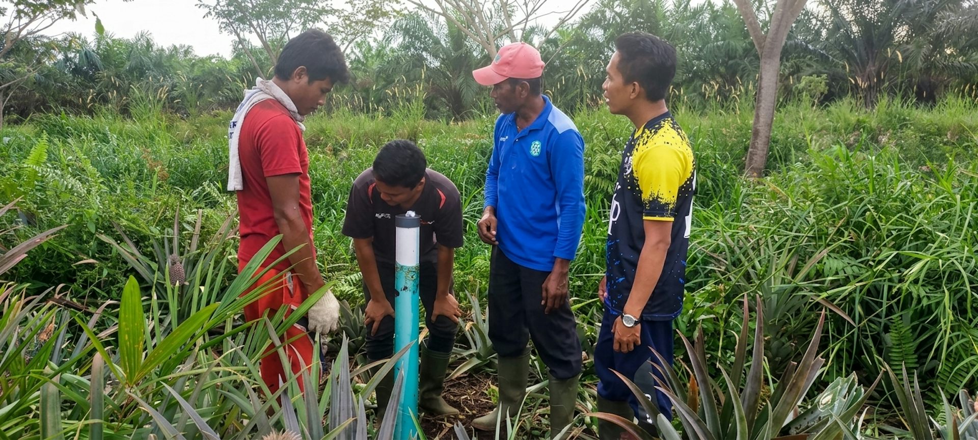 pemantauan gambut mencegah kebakaran karhutla smoldering fire