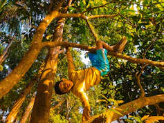 A boy in a yellow shirt and blue shorts hangs from a tall tree, with leaves in the background and sun shining on his body.