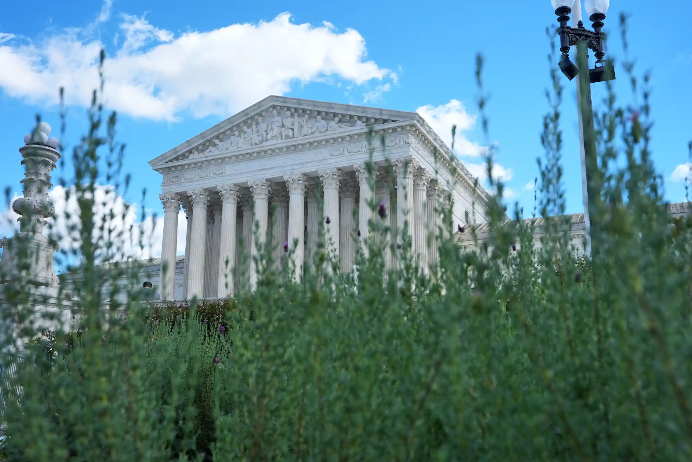 A large white building with tall pillars stands against a bright blue sky and tall green grass.