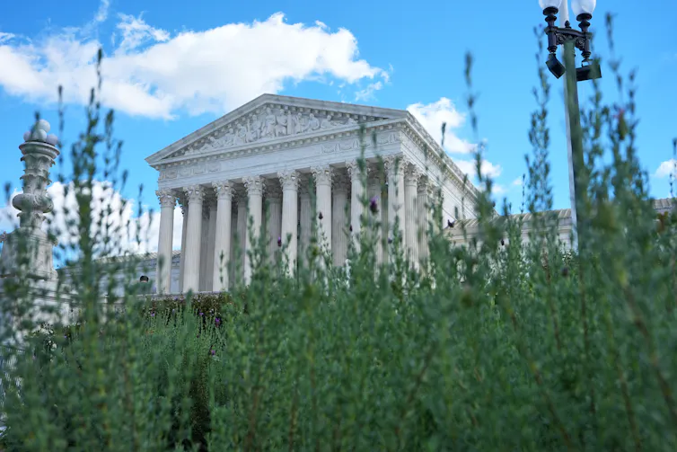 A large white building with tall pillars stands against a bright blue sky and tall green grass.