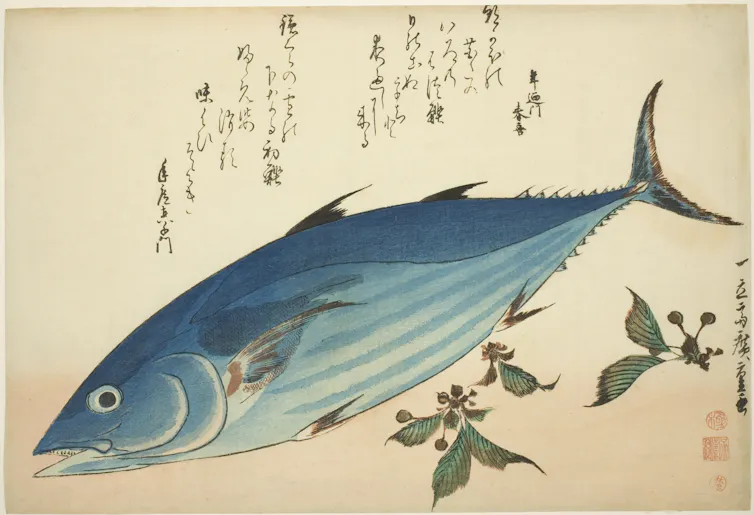 Water color painting of a blue fish with Japanese writing