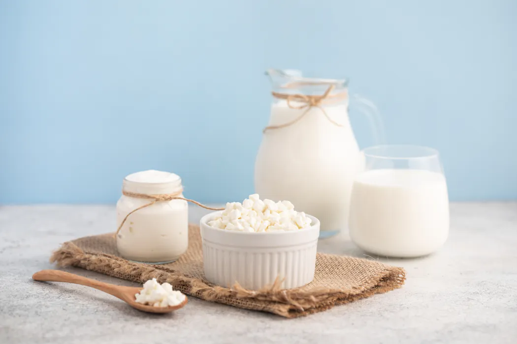 The gut-muscle link: why fermented foods could boost muscle health