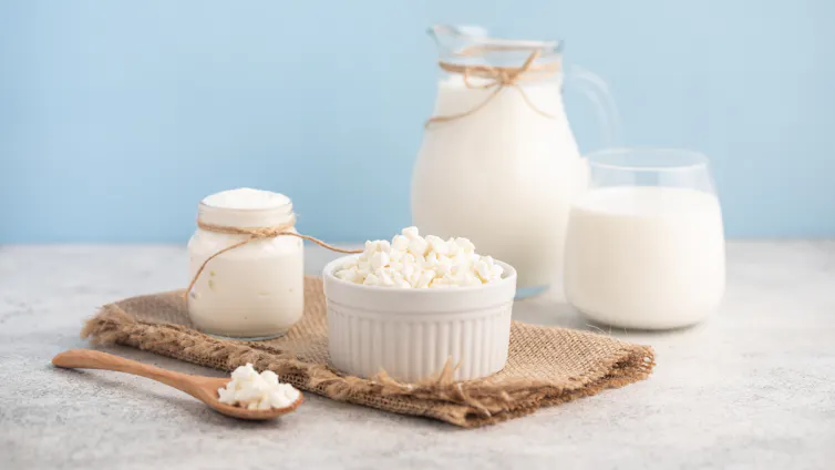 An assortment of protein-rich fermented foods, such as yoghurt, kefir and cottage cheese.