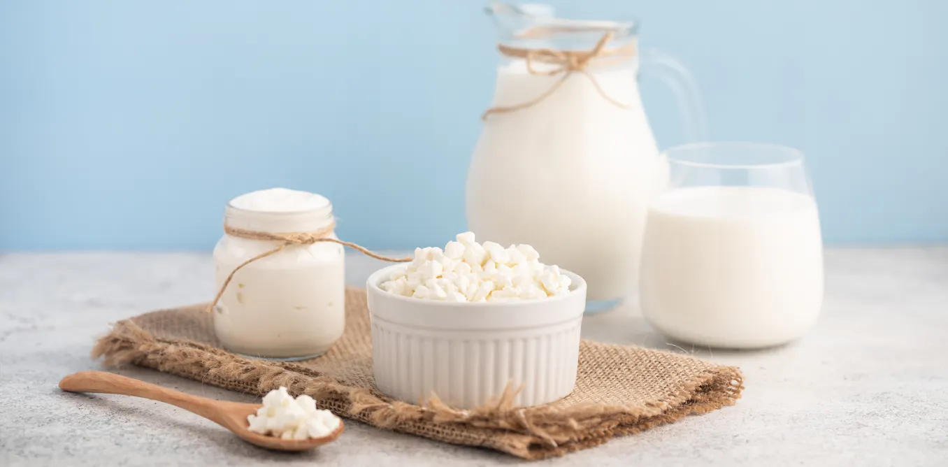 The gut-muscle link: why fermented foods could boost muscle health The gut-muscle link: why fermented foods could boost muscle health