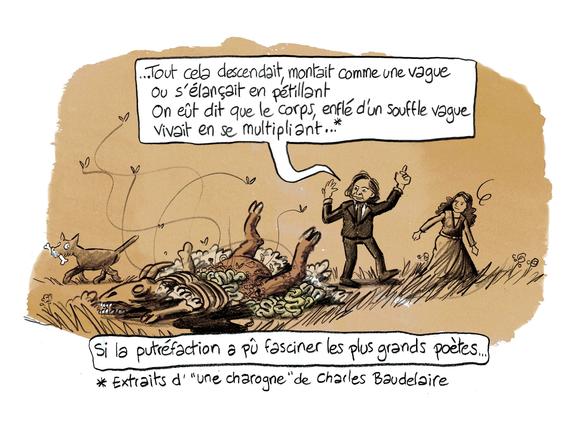 Planche 66 : à décrire