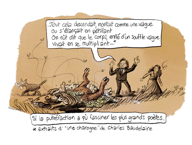 Planche 66 : à décrire