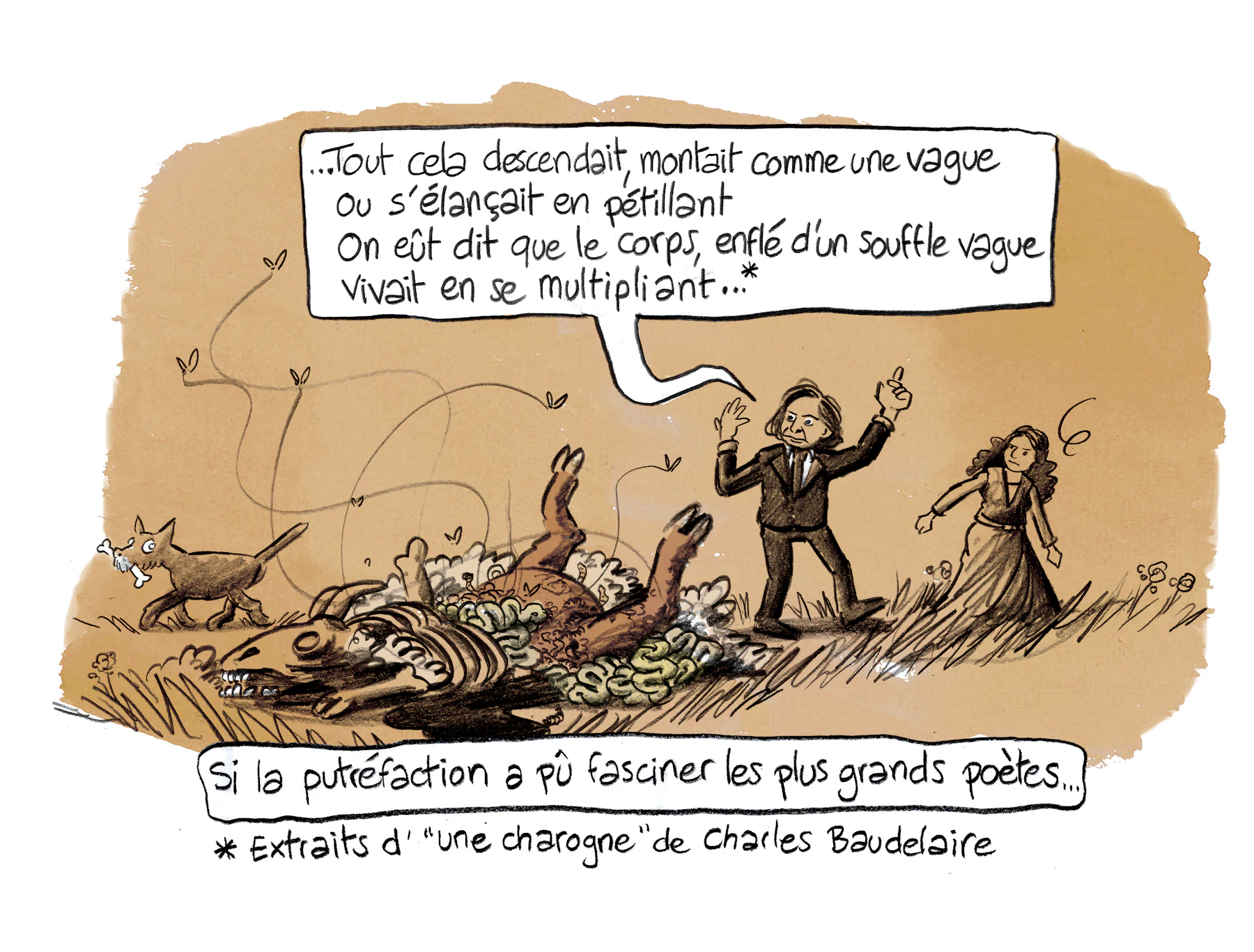 Planche 66 agrandie