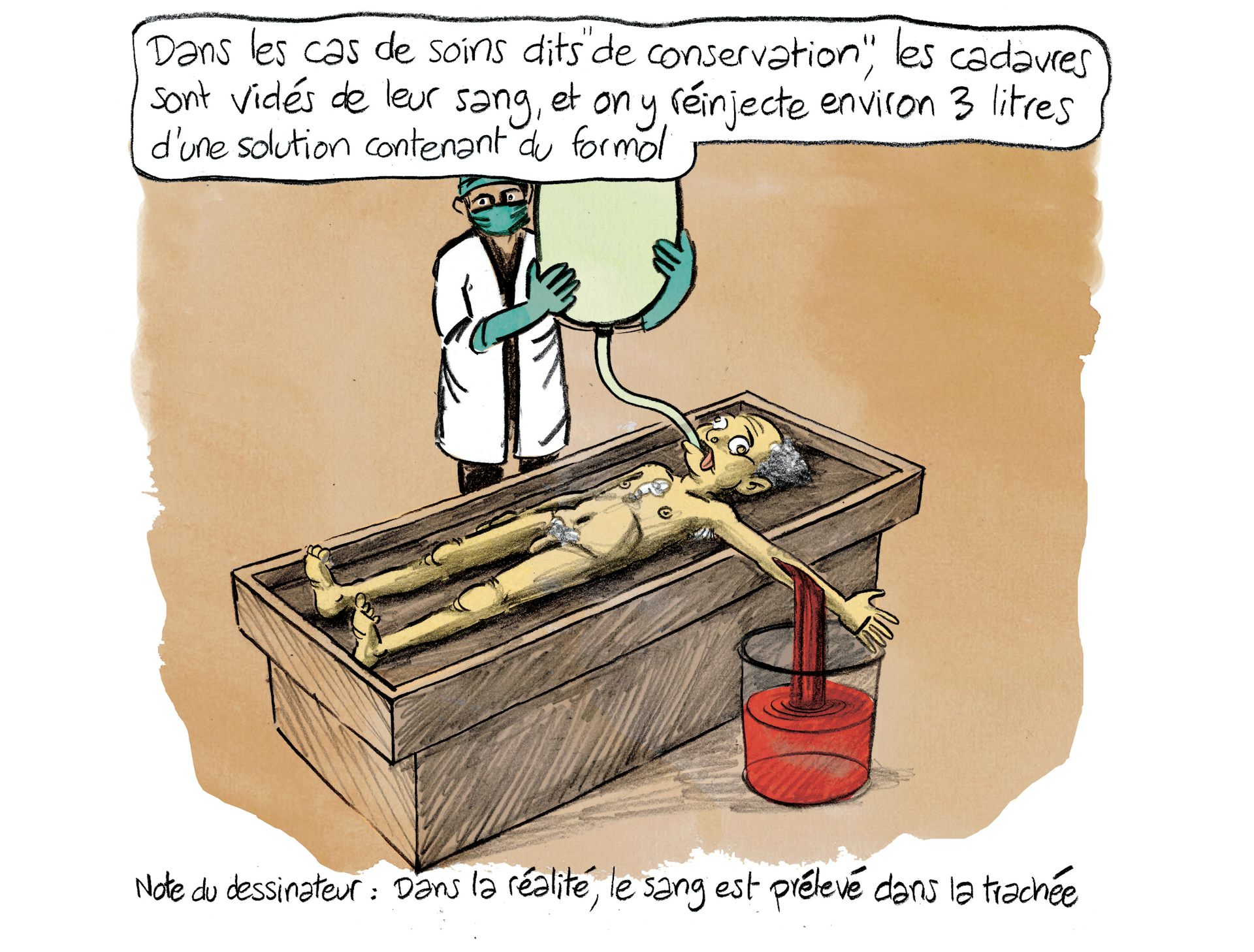 Planche 70 : à décrire