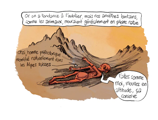 Planche 72 : à décrire
