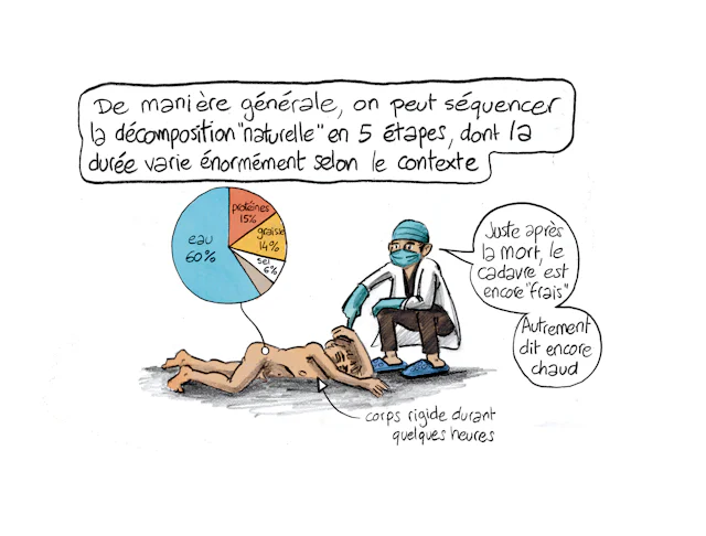 Planche 74 : à décrire